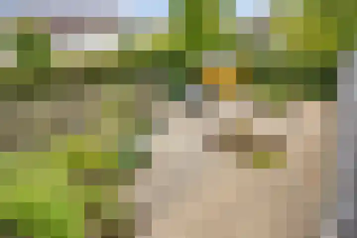 Wersakker 40 Mierlo thumbnail 50