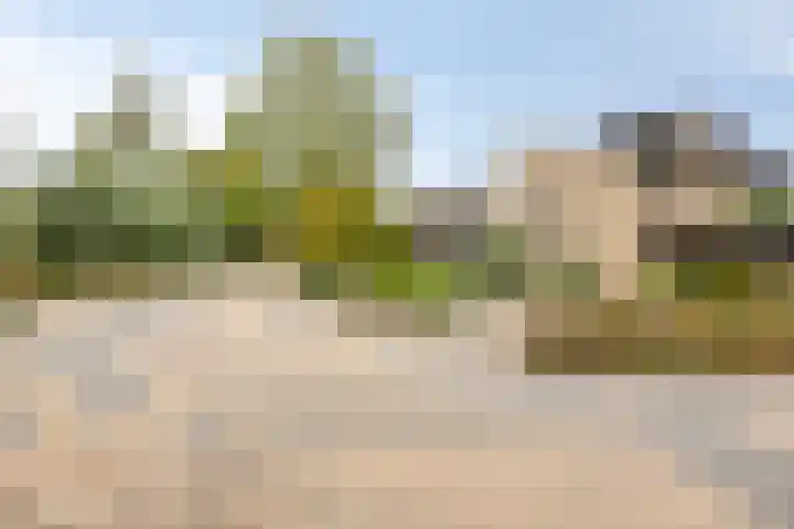 Wersakker 40 Mierlo thumbnail 9