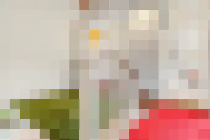 Wersakker 8 Mierlo thumbnail 22