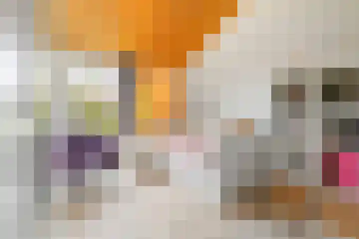 Wersakker 8 Mierlo thumbnail 29
