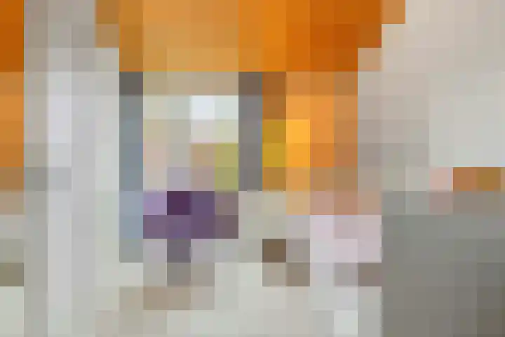 Wersakker 8 Mierlo thumbnail 30
