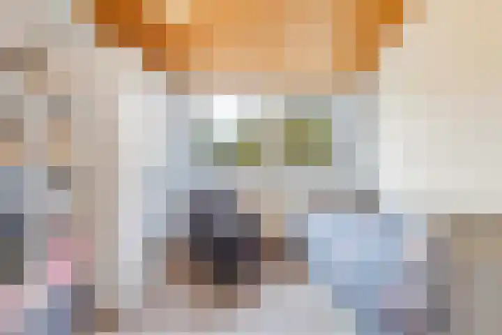 Wersakker 8 Mierlo thumbnail 31