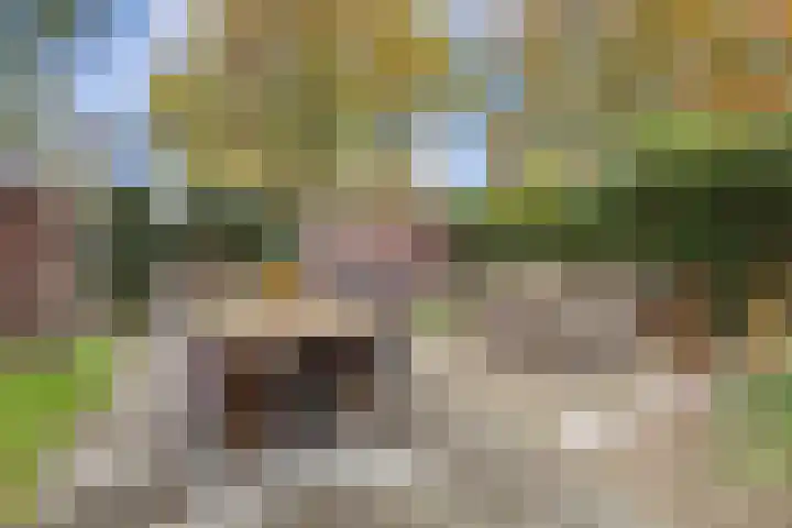 Wersakker 8 Mierlo thumbnail 38
