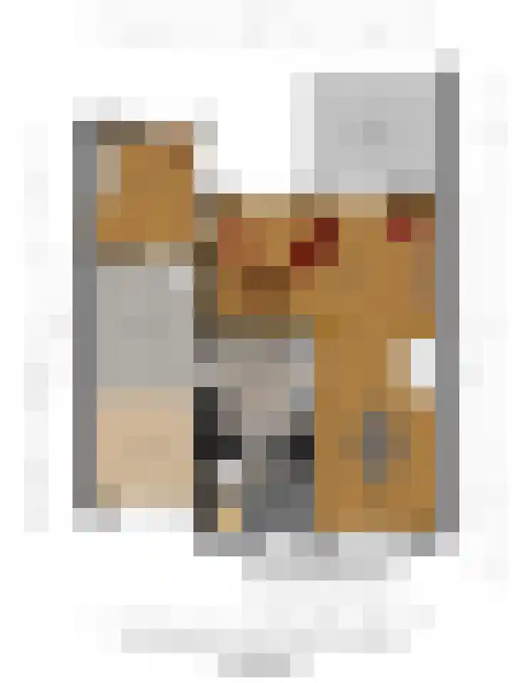 Wersakker 8 Mierlo thumbnail 45