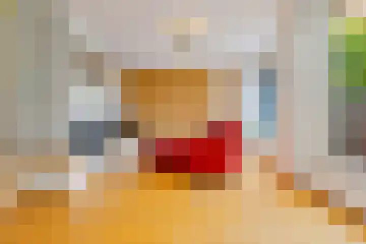 Wersakker 8 Mierlo thumbnail 9