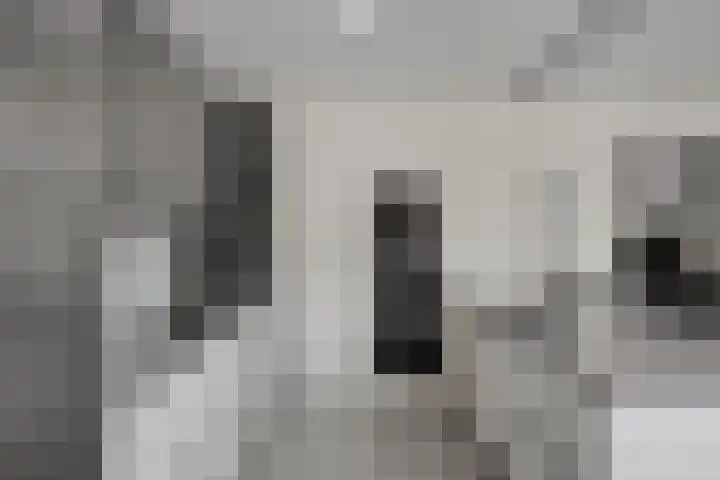 Werststeeg 2 Berlicum thumbnail 10