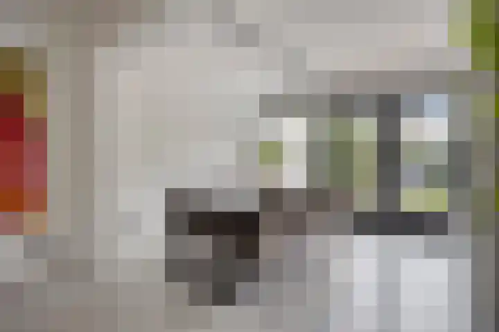 Werststeeg 2 Berlicum thumbnail 12