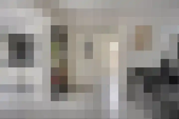 Werststeeg 2 Berlicum thumbnail 13