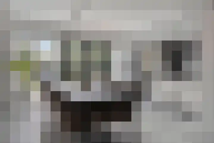 Werststeeg 2 Berlicum thumbnail 14