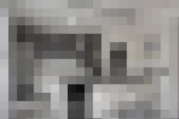 Werststeeg 2 Berlicum thumbnail 16