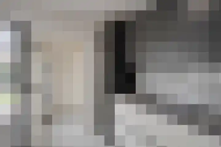 Werststeeg 2 Berlicum thumbnail 17