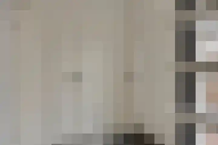 Werststeeg 2 Berlicum thumbnail 20