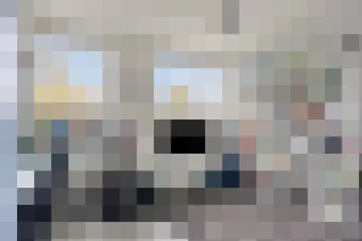 Werststeeg 2 Berlicum thumbnail 25