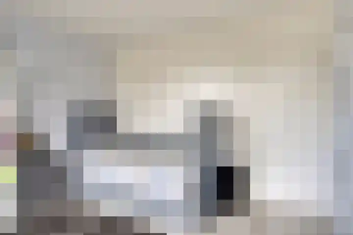 Werststeeg 2 Berlicum thumbnail 26