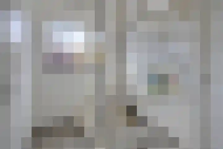 Werststeeg 2 Berlicum thumbnail 29