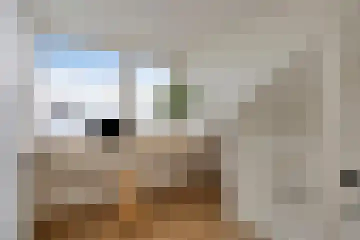 Werststeeg 2 Berlicum thumbnail 30