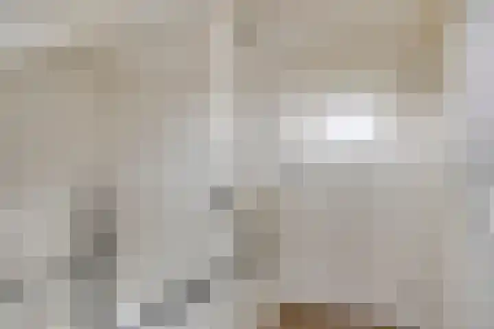 Werststeeg 2 Berlicum thumbnail 31