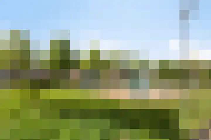Werststeeg 2 Berlicum thumbnail 41
