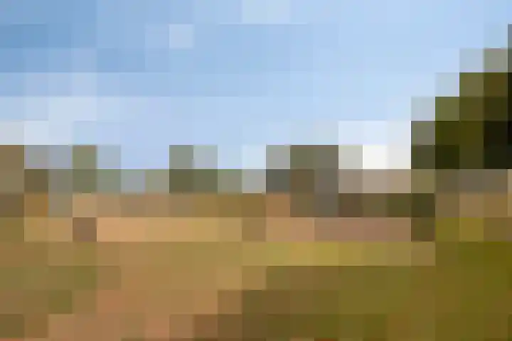 Werststeeg 2 Berlicum thumbnail 42
