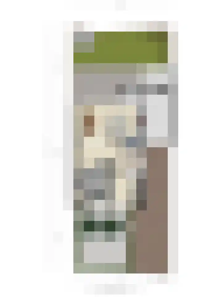 Werststeeg 2 Berlicum thumbnail 45