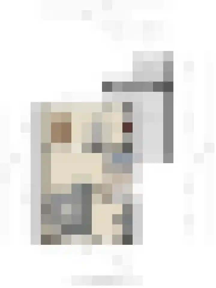Werststeeg 2 Berlicum thumbnail 46