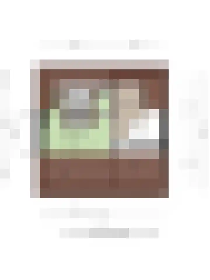 Werststeeg 2 Berlicum thumbnail 48