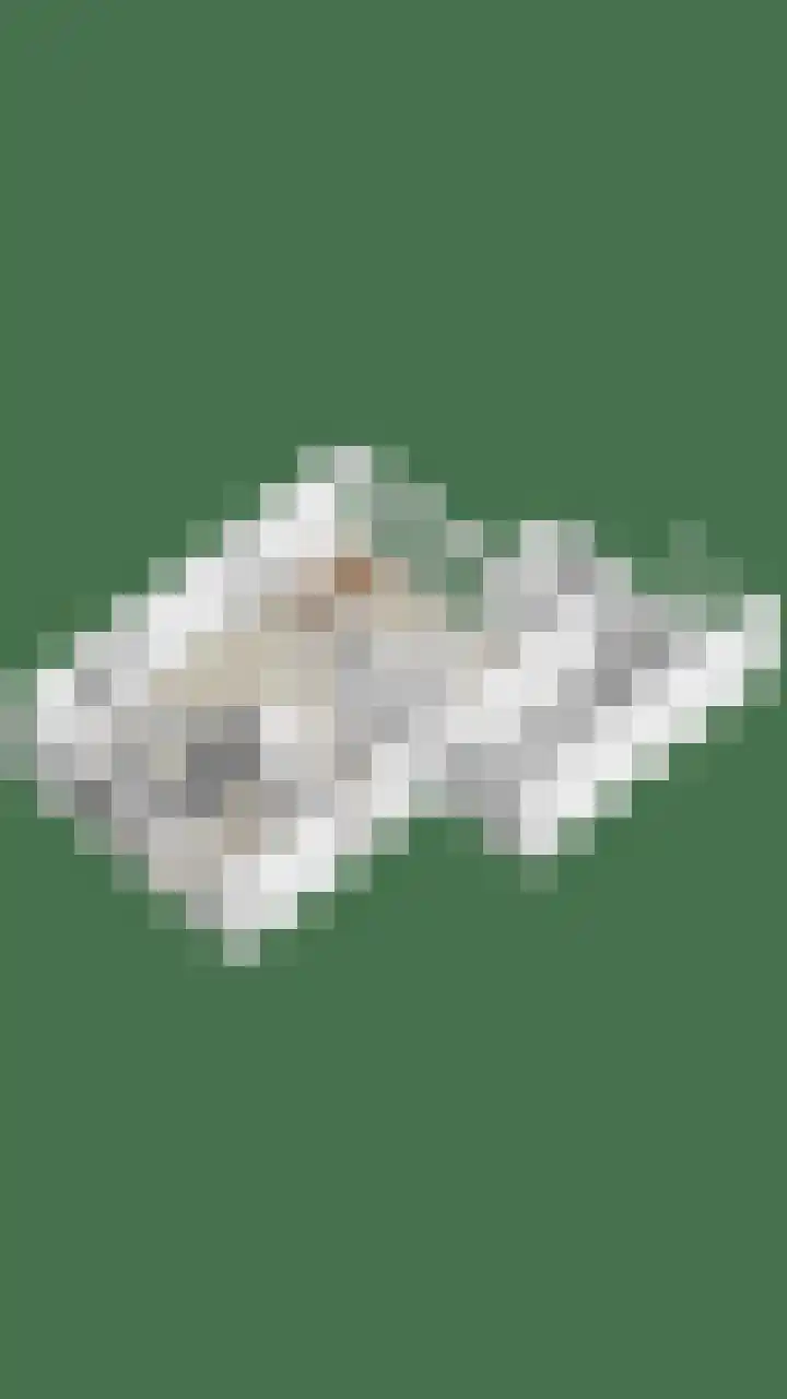 Werststeeg 2 Berlicum thumbnail 49