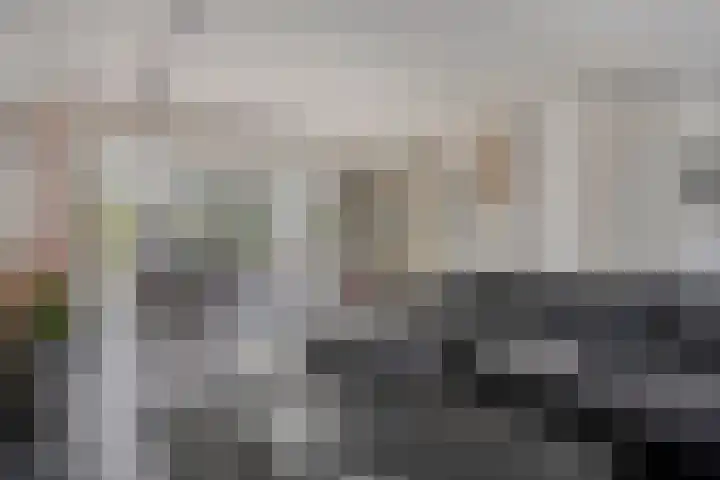 Werststeeg 2 Berlicum thumbnail 5