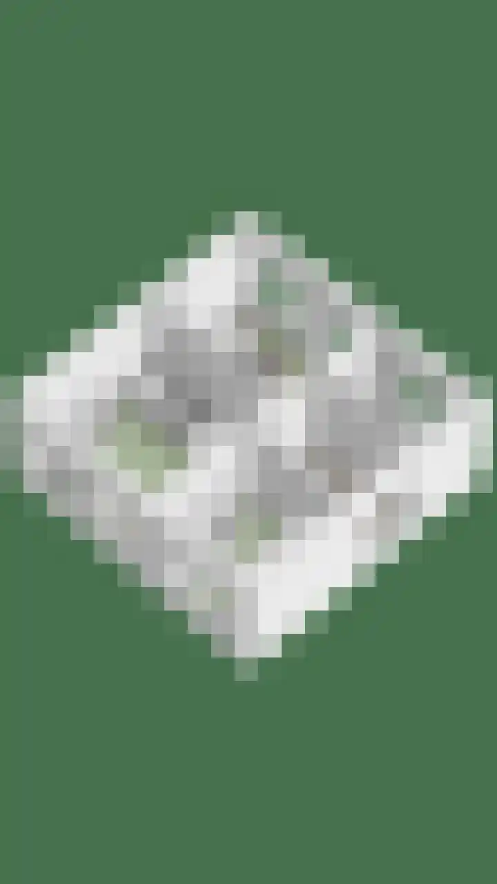 Werststeeg 2 Berlicum thumbnail 50