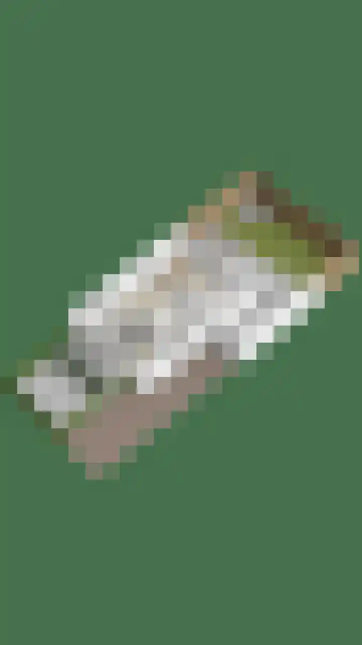 Werststeeg 2 Berlicum thumbnail 52