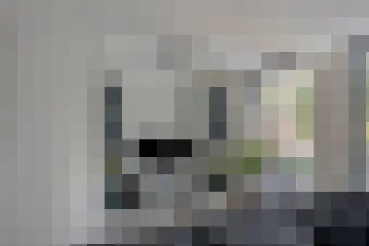 Werststeeg 2 Berlicum thumbnail 7