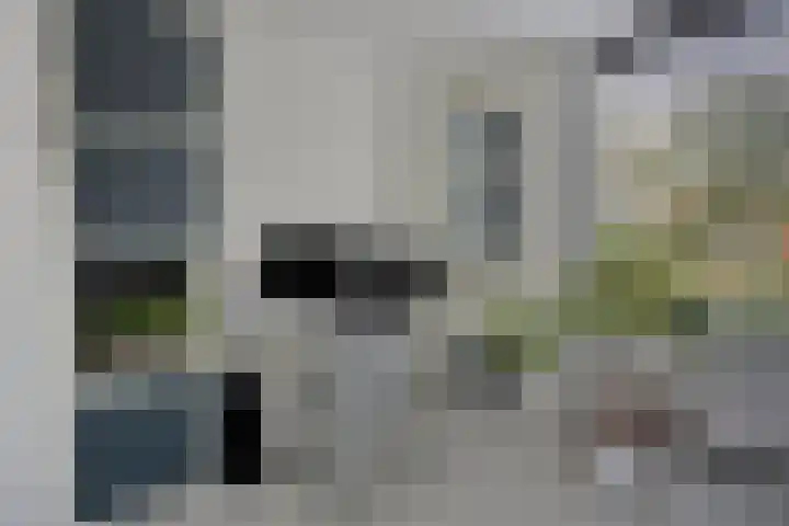 Werststeeg 2 Berlicum thumbnail 8