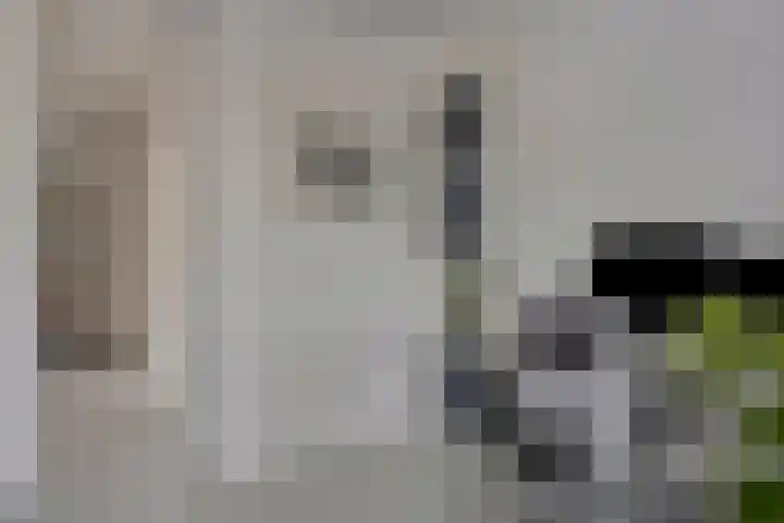 Werststeeg 2 Berlicum thumbnail 9