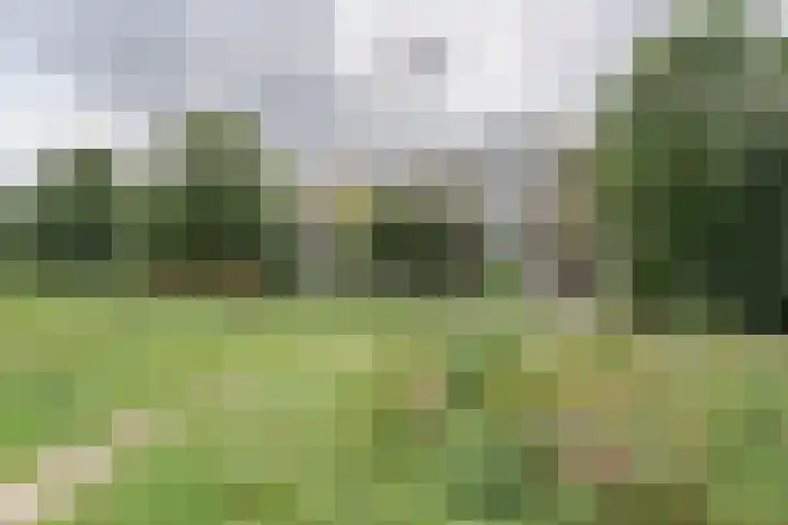 Werumeus Buninglaan 102 Waddinxveen