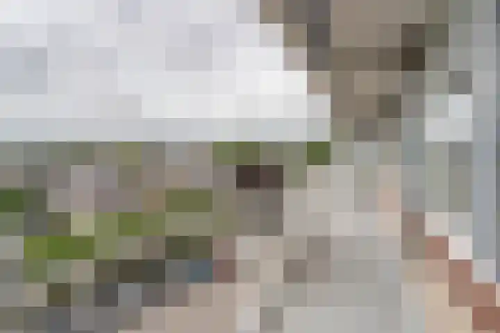 Werumeus Buninglaan 102 Waddinxveen thumbnail 11