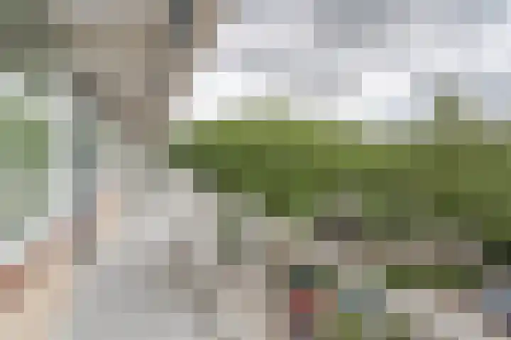 Werumeus Buninglaan 102 Waddinxveen thumbnail 12