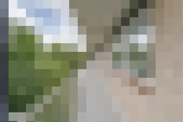 Werumeus Buninglaan 102 Waddinxveen thumbnail 19