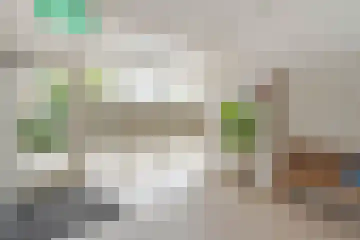 Werumeus Buninglaan 102 Waddinxveen thumbnail 22