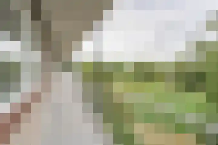 Werumeus Buninglaan 102 Waddinxveen thumbnail 4