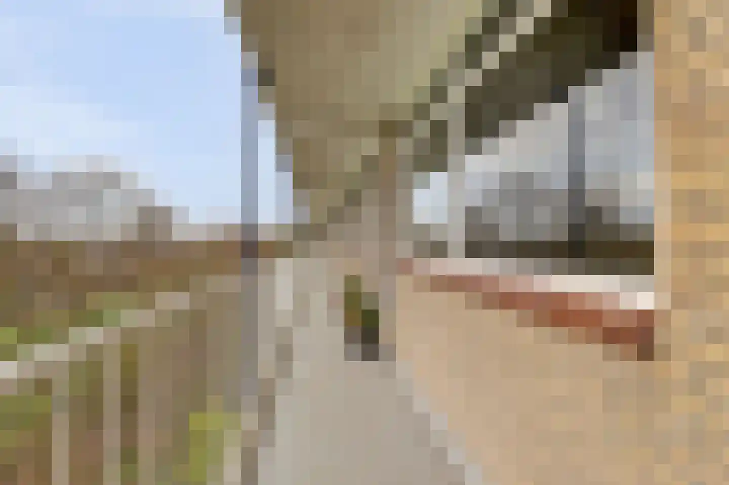 Werumeus Buninglaan 114 Waddinxveen thumbnail 10