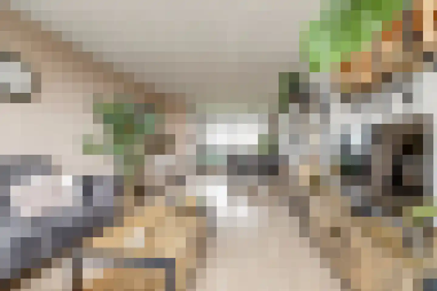 Werumeus Buninglaan 114 Waddinxveen thumbnail 14