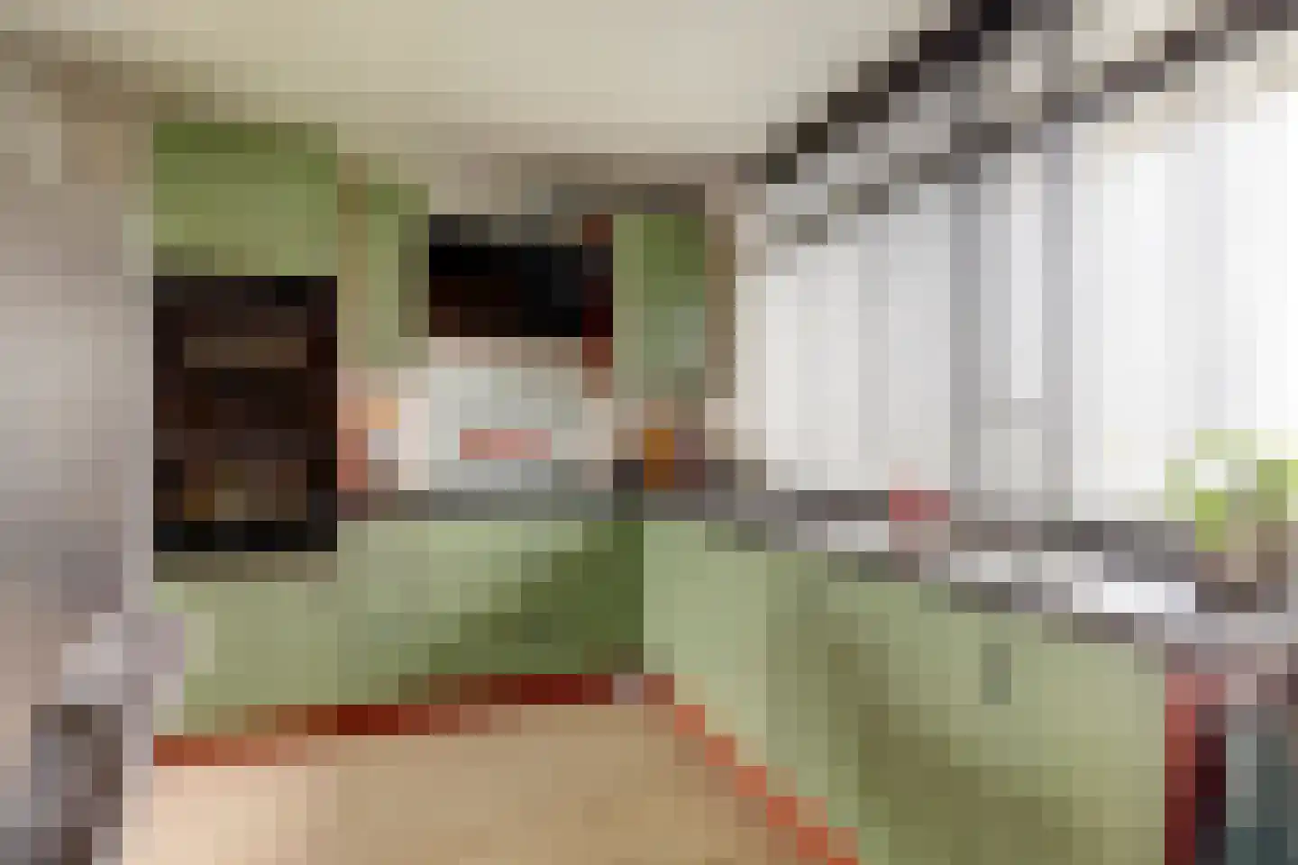 Werumeus Buninglaan 114 Waddinxveen thumbnail 17