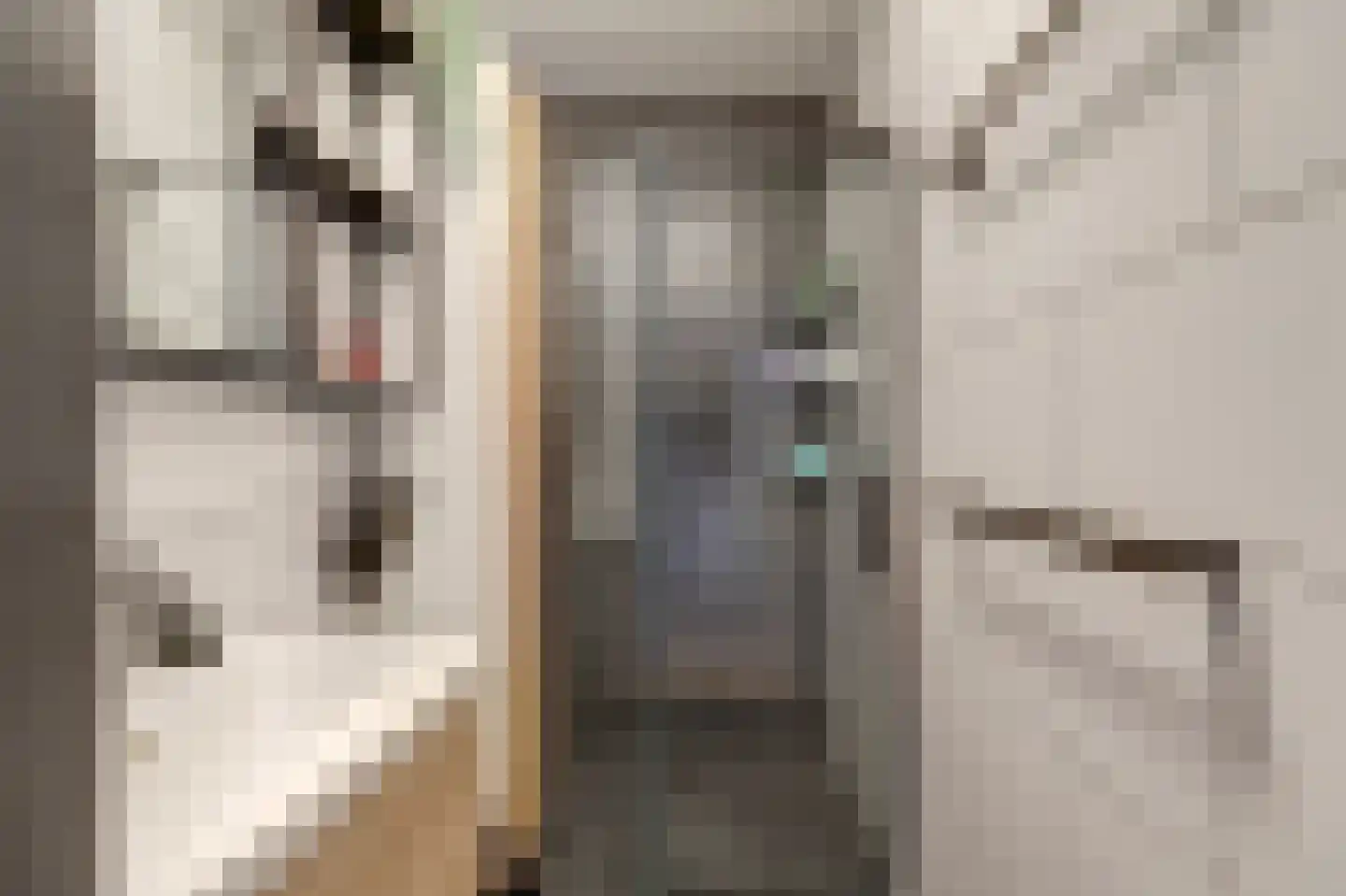 Werumeus Buninglaan 114 Waddinxveen thumbnail 26