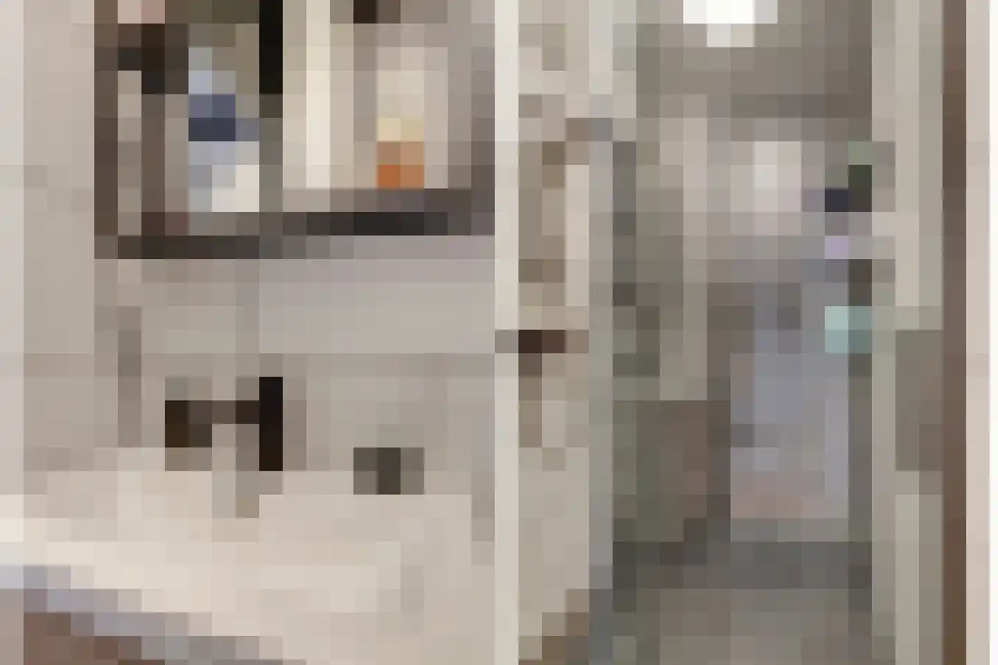 Werumeus Buninglaan 114 Waddinxveen thumbnail 27