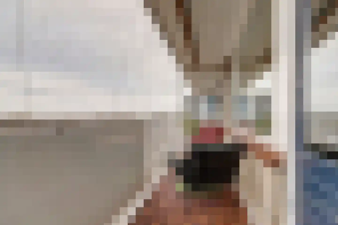 Werumeus Buninglaan 114 Waddinxveen thumbnail 28