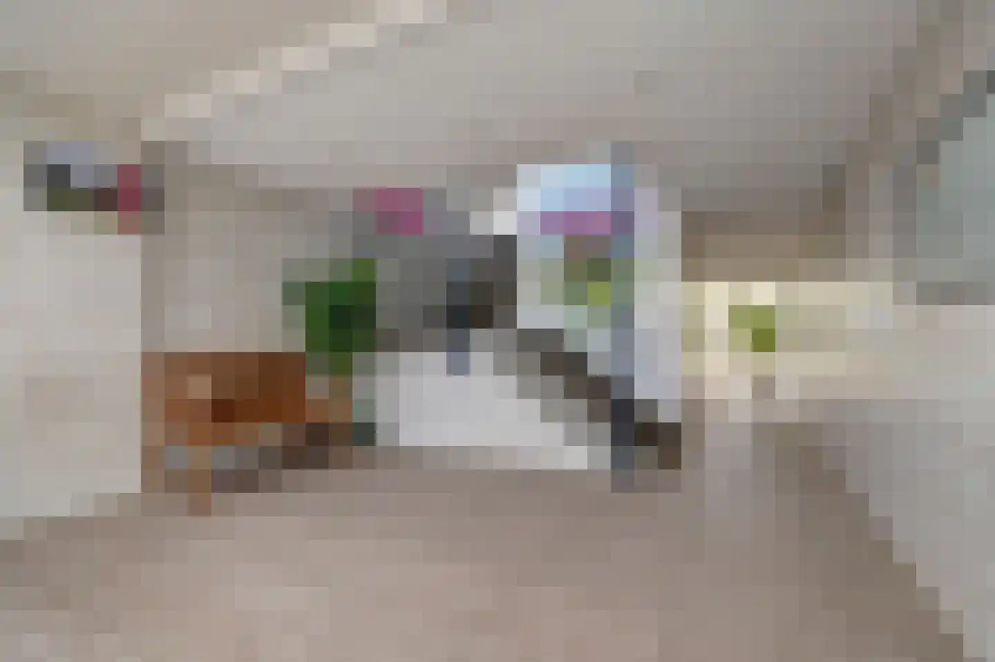 Werumeus Buninglaan 114 Waddinxveen thumbnail 32