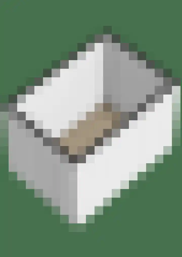 Werumeus Buninglaan 122 Waddinxveen thumbnail 33