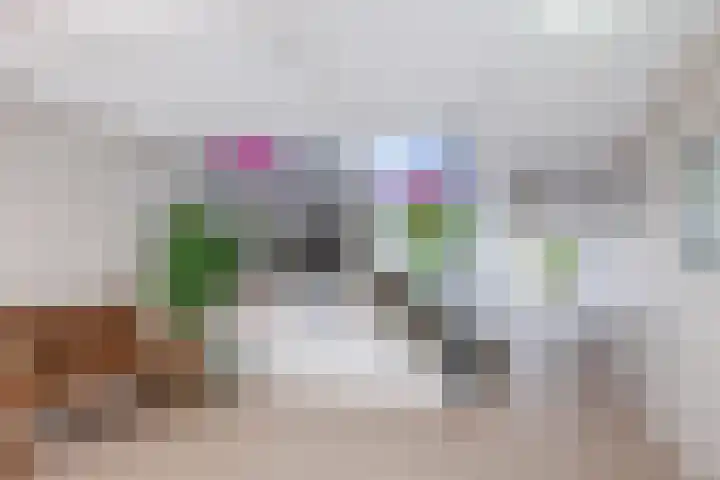 Werumeus Buninglaan 122 Waddinxveen thumbnail 5