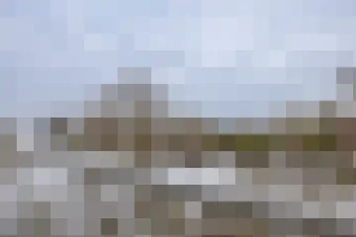 Werumeus Buninglaan 122 Waddinxveen thumbnail 8