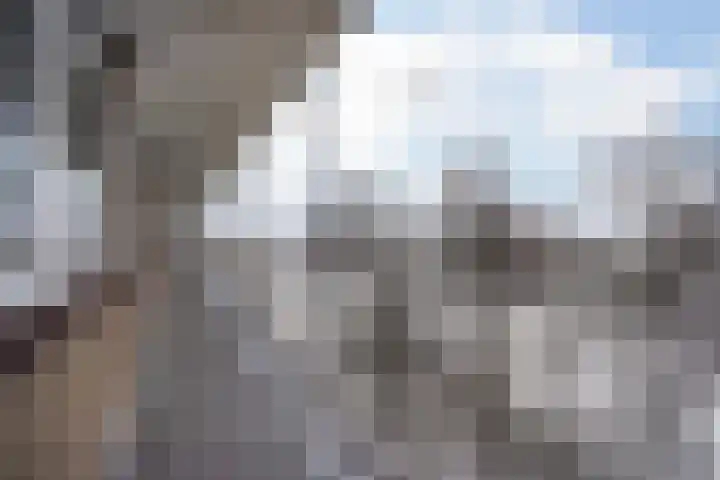 Werumeus Buninglaan 124 Waddinxveen thumbnail 11